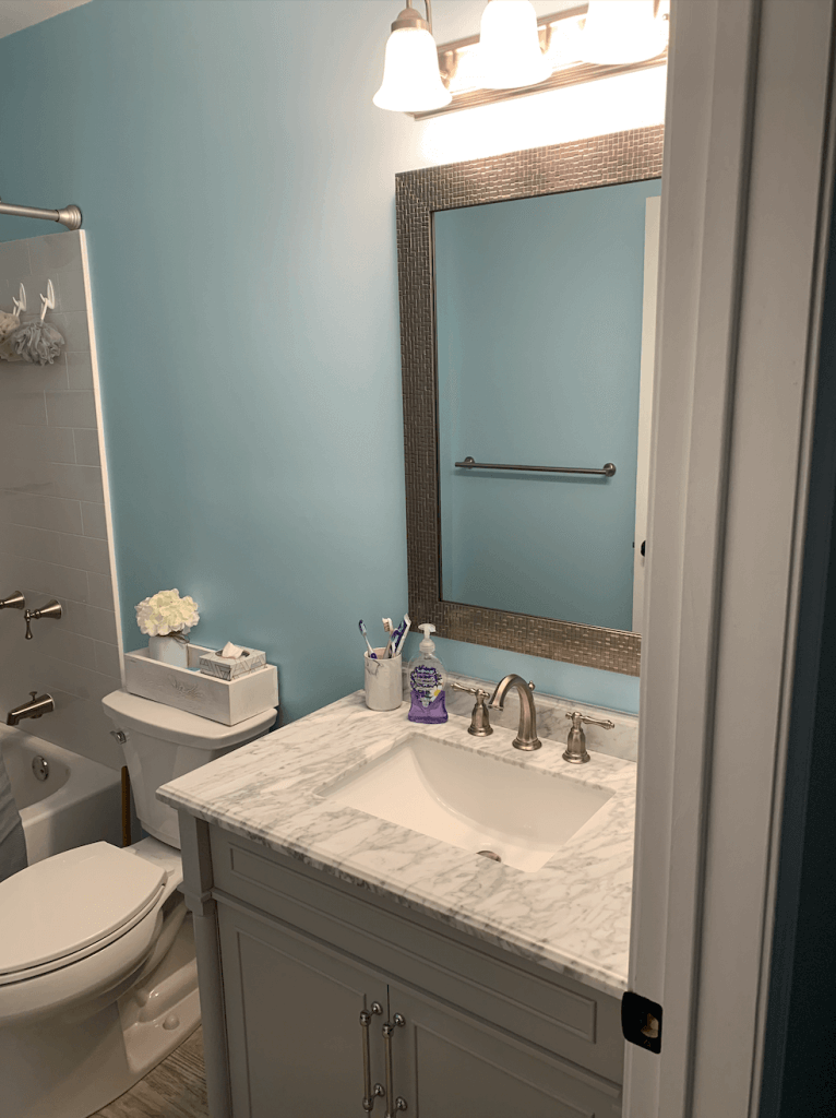 Bathroom Reno 46